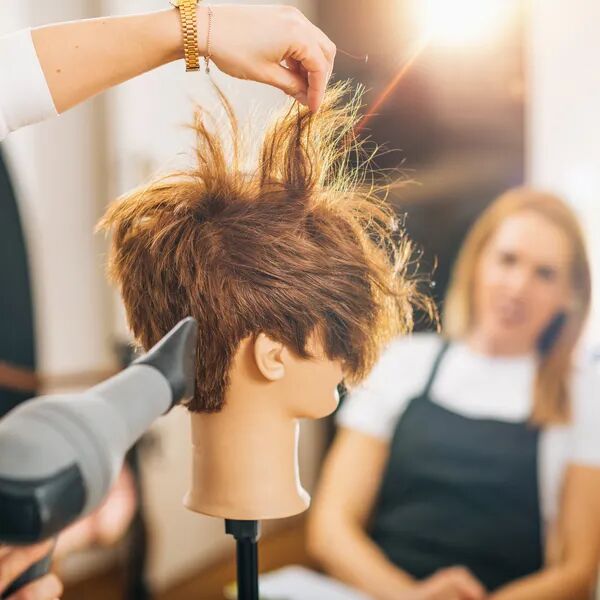 Formation de l'équipe 